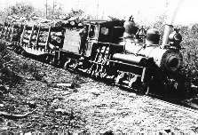 Narrow gauge railroad